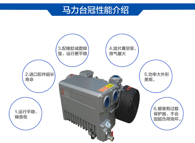 臺(tái)冠MLV0100旋片式負(fù)壓泵性能介紹圖