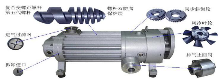 無(wú)油螺桿真空泵結(jié)構(gòu)圖